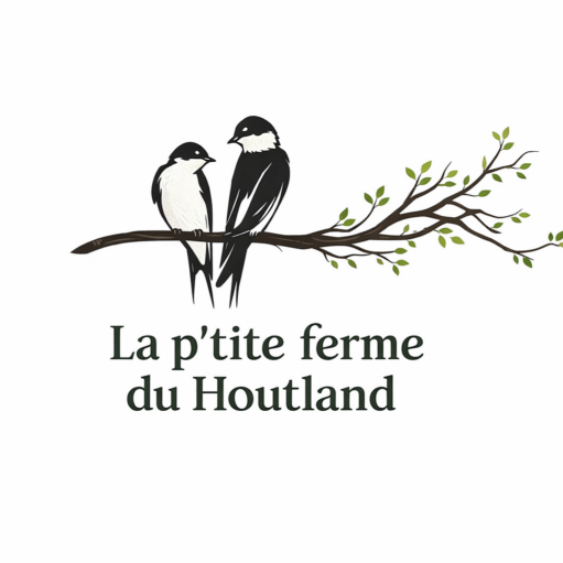 Un espace vivant entre terre, savoir et partage.